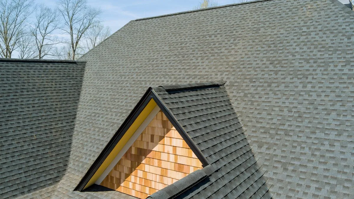 roofing services chestnut ridge