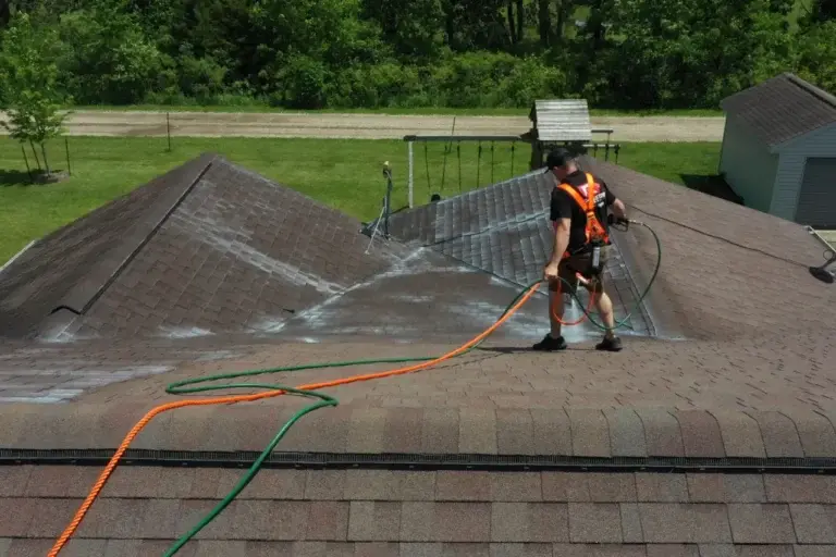 Roof washing