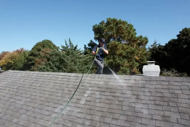 Roof washing services