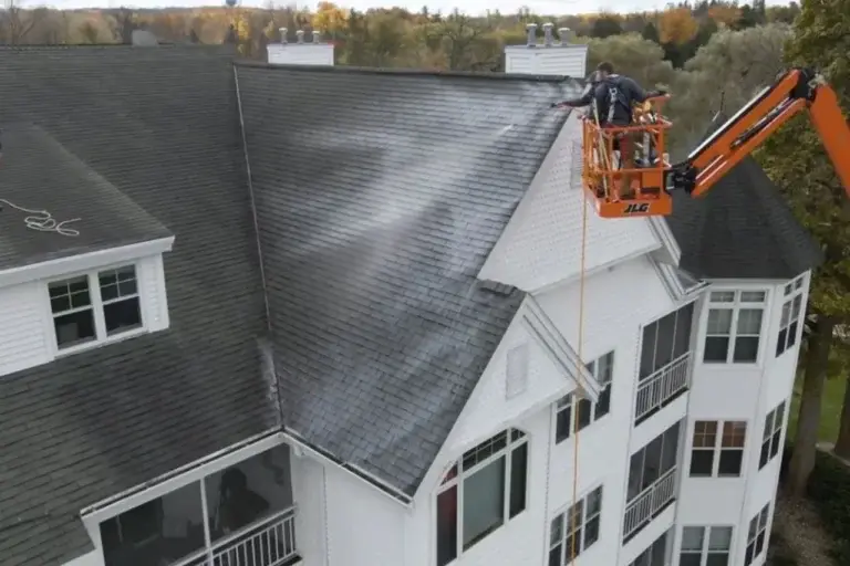 Roof washing by expert
