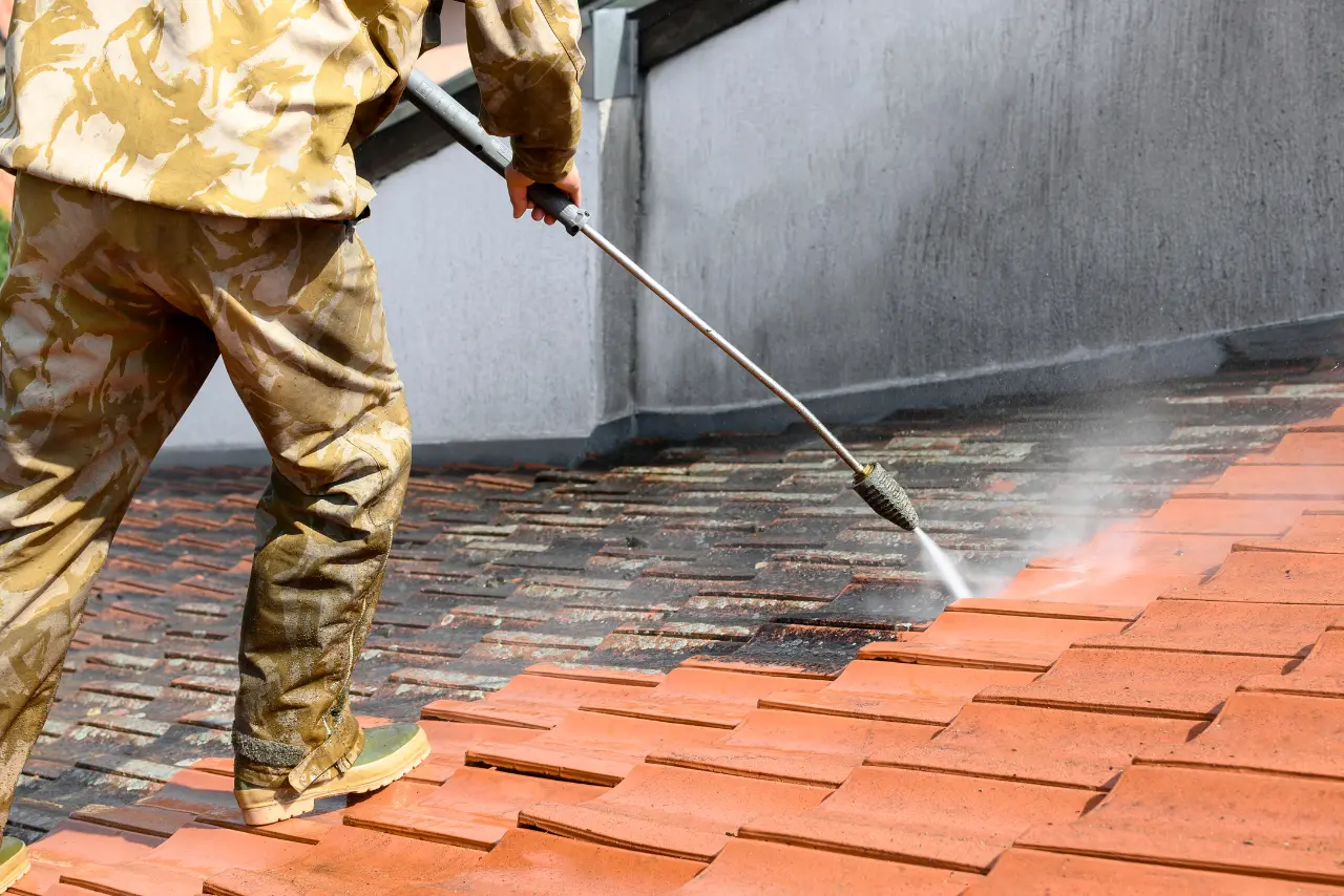 Roof Washing In Florida