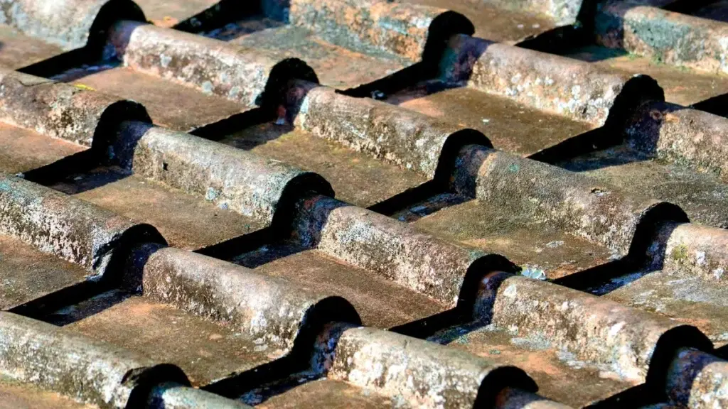 How long does a roof last