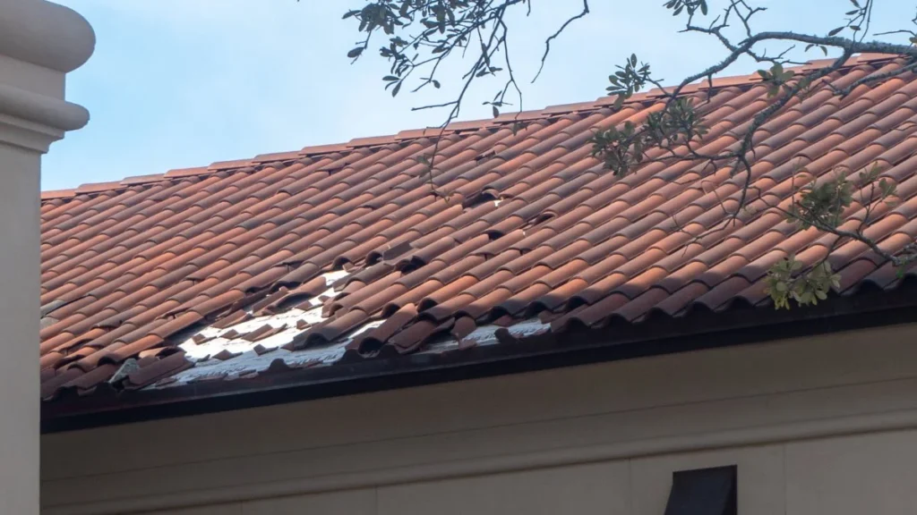 Signs Your Roof Needs Replacement